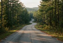 Empty rural Alabama road winding through forested landscape